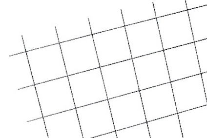 8203274.jpg