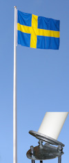 8252786.jpg