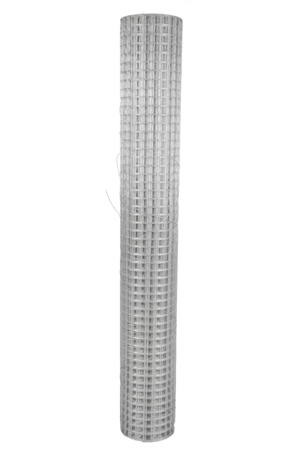8255130.jpg