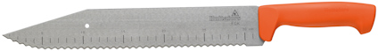 8264312.jpg